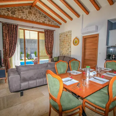 ヴィラ Patara Deluxe 3+1 Villa, Oezel Havuzlu,
